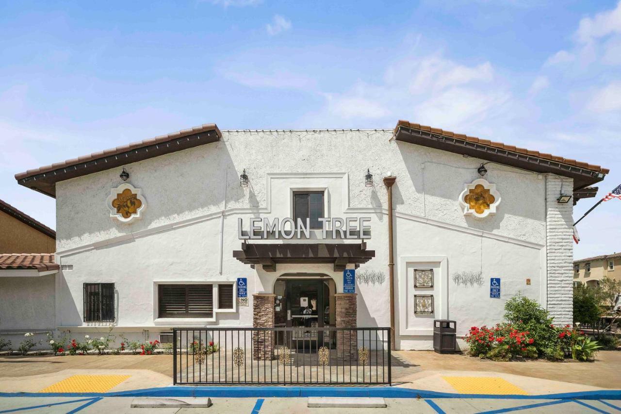 The Lemon Tree Hotel Anaheim Luaran gambar